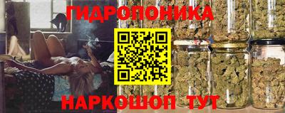 гидра Бийск