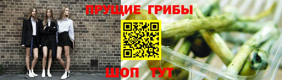 Галлюциногенные грибы прущие грибы Избербаш